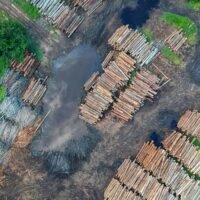 High-altitude shot of stacked logs in a deforested area, showcasing timber and environmental impact.